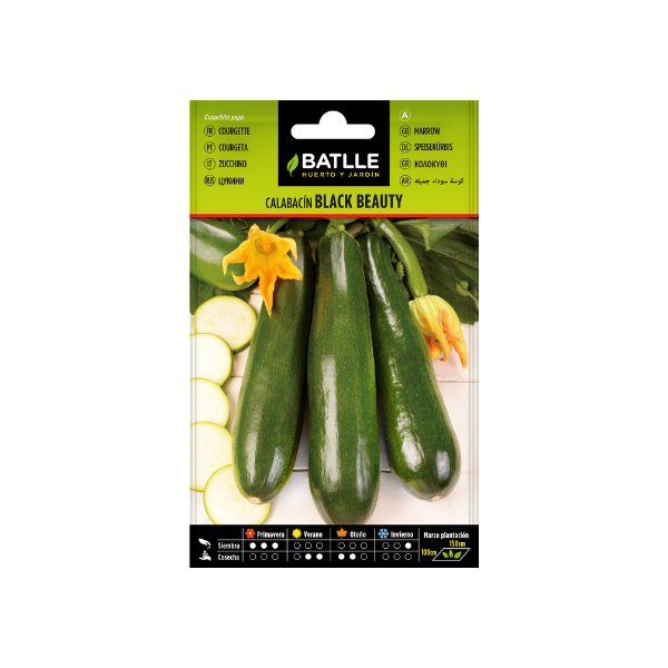 SEMILLA HORTALIZA CALABACIN BLACK BEAUTY BATLLE SOBRE