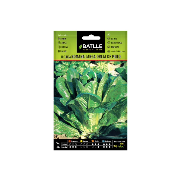 SEMILLA HORTALIZA LECHUGA ROMANA LARGA VERDE BATLLE SOBRE