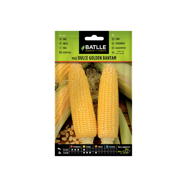 SEMILLA HORTALIZA MAIZ DULCE GOLDEN BANTAM BATLLE SOBRE