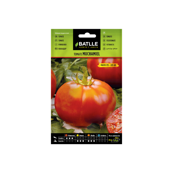 SEMILLA HORTALIZA TOMATE MUCHAMIEL BATLLE SOBRE