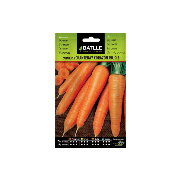 SEMILLA HORTALIZA ZANAHORIA CHANTENAY BATLLE SOBRE