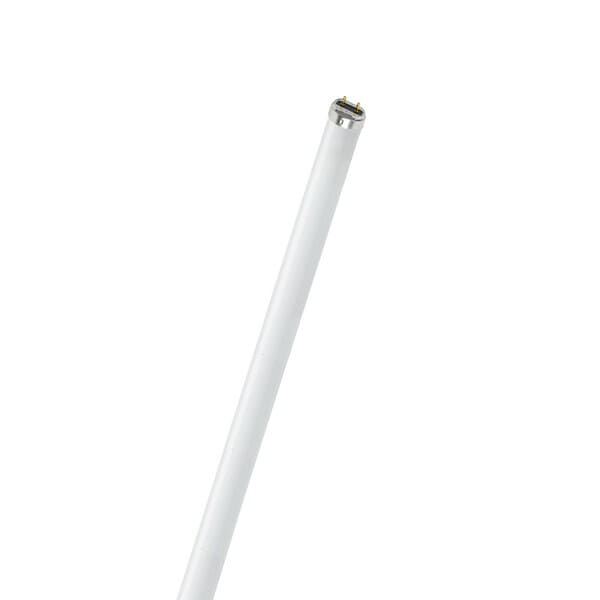 TUBO FLUORECENTE  SYLVANIA DE 20W (P57301-3)