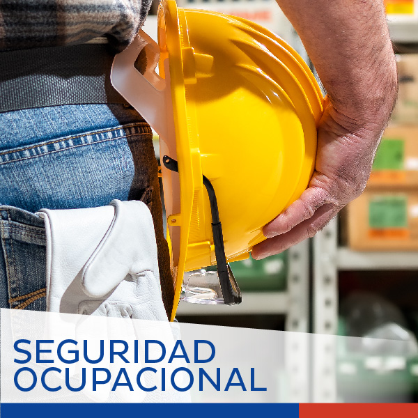 SEGURIDAD OCUPACIONAL